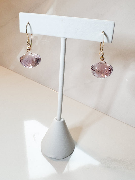 Ametrine fancy cut in Gold fill earrings