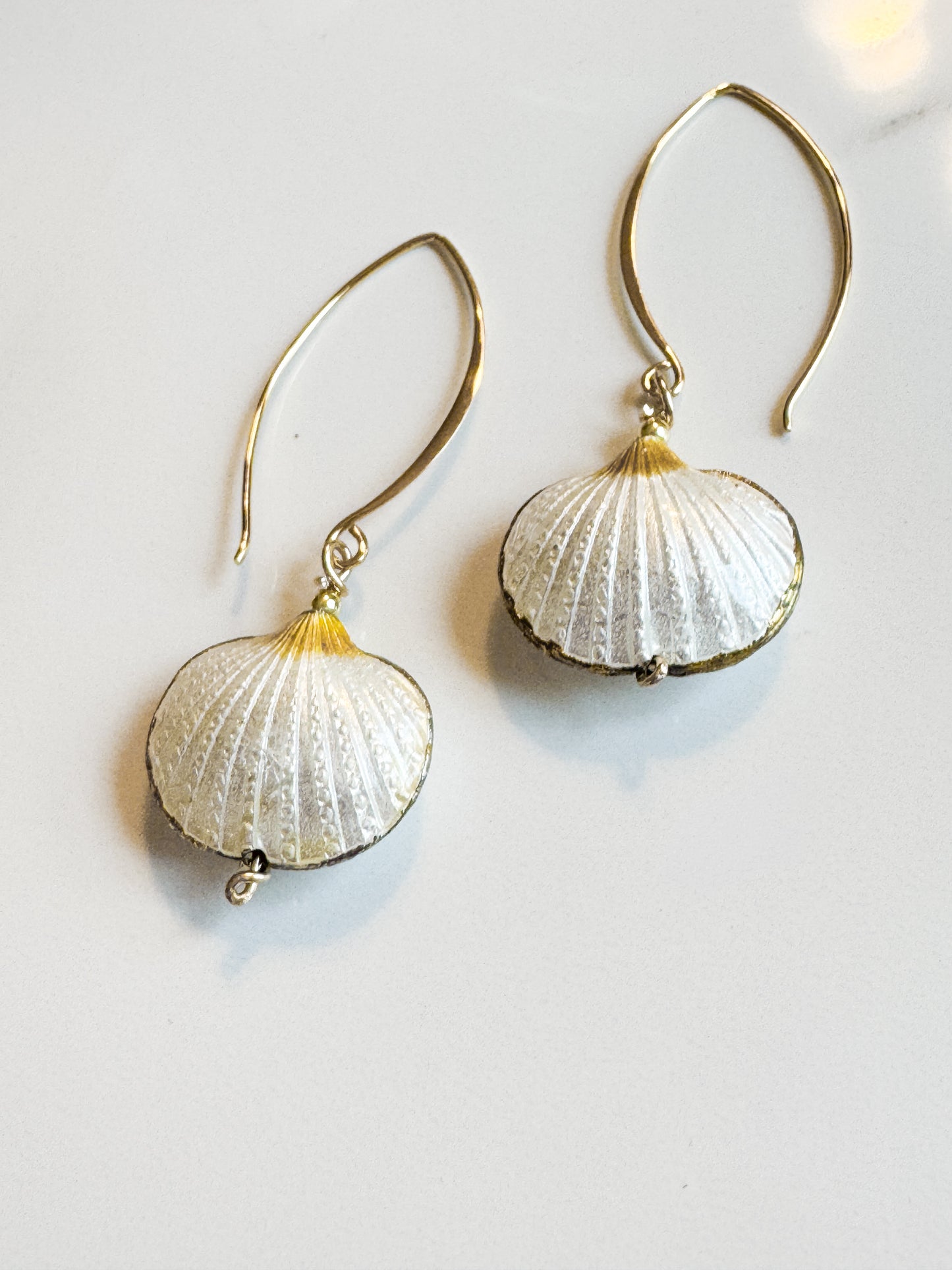 Cloisonné shell earrings in gold fill