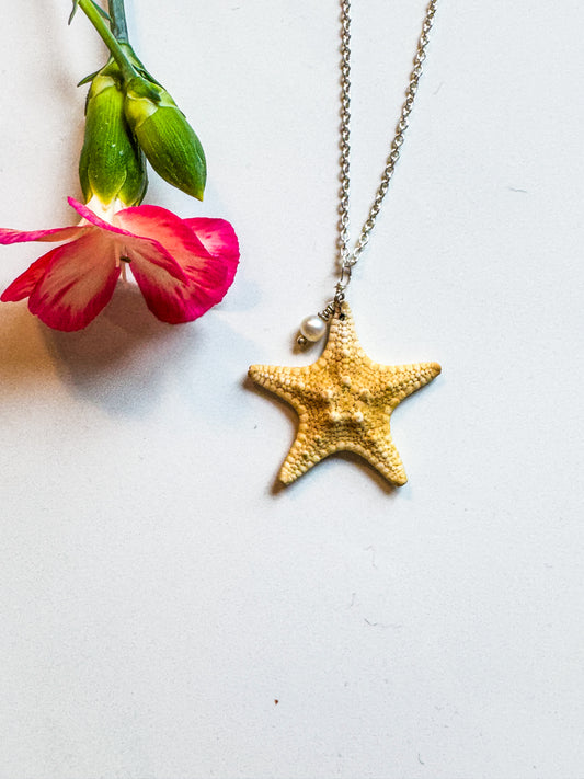 Real starfish on Sterling chain